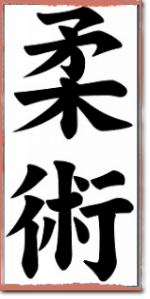 jiujitsu jiujitsu